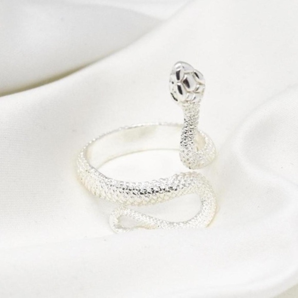 Silver Snake Design Ring - Picture 4 of 4